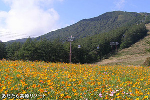 あだたら高原リゾート